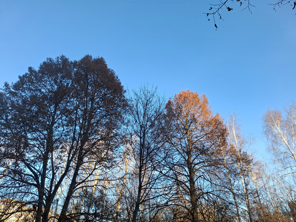 Может, будет светлая полоса?