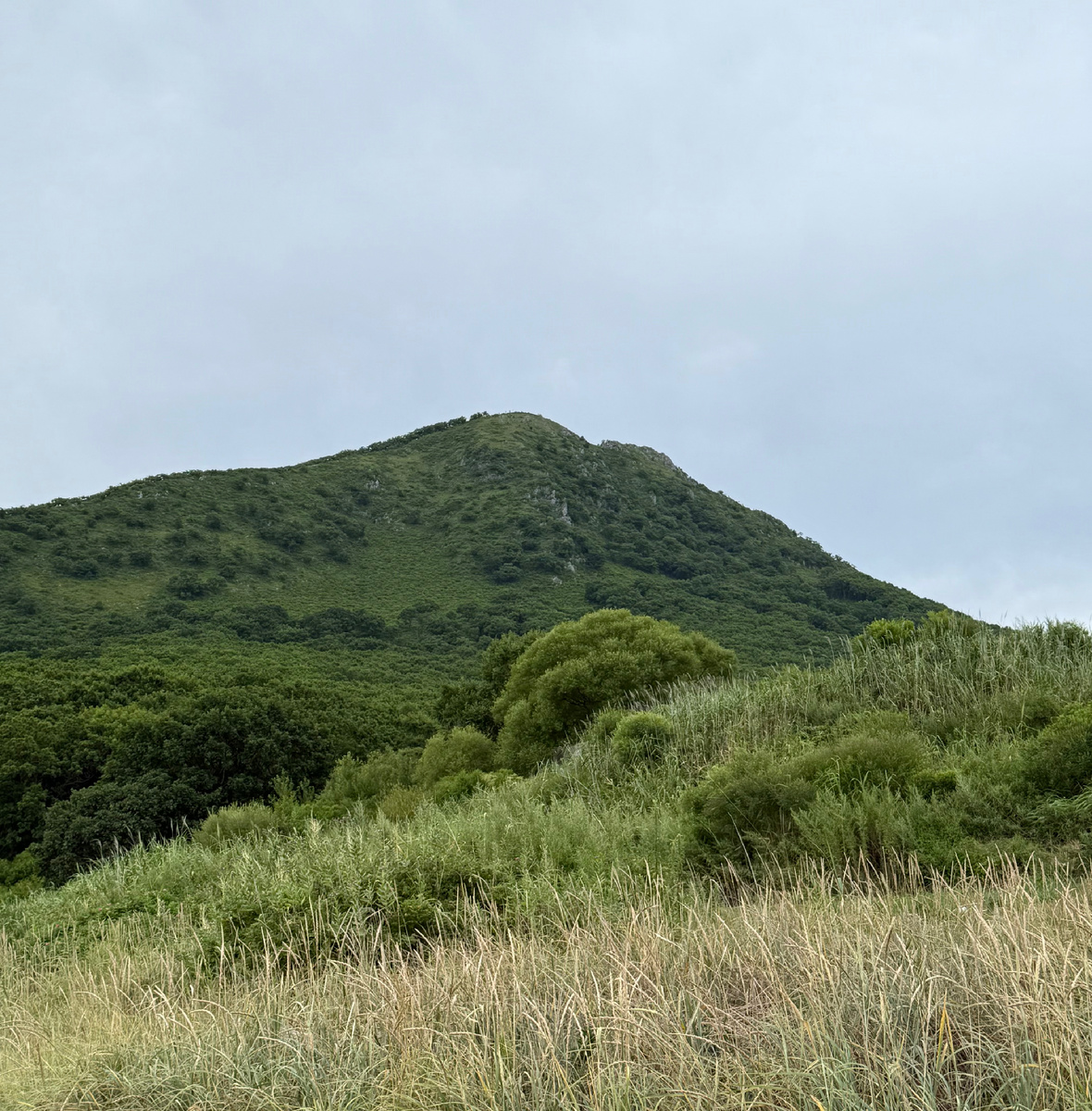 Гора Сестра