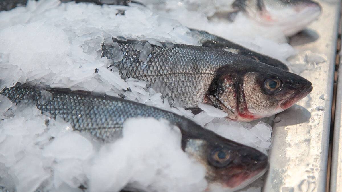   Фото: Артур Новосильцев / АГН Москва