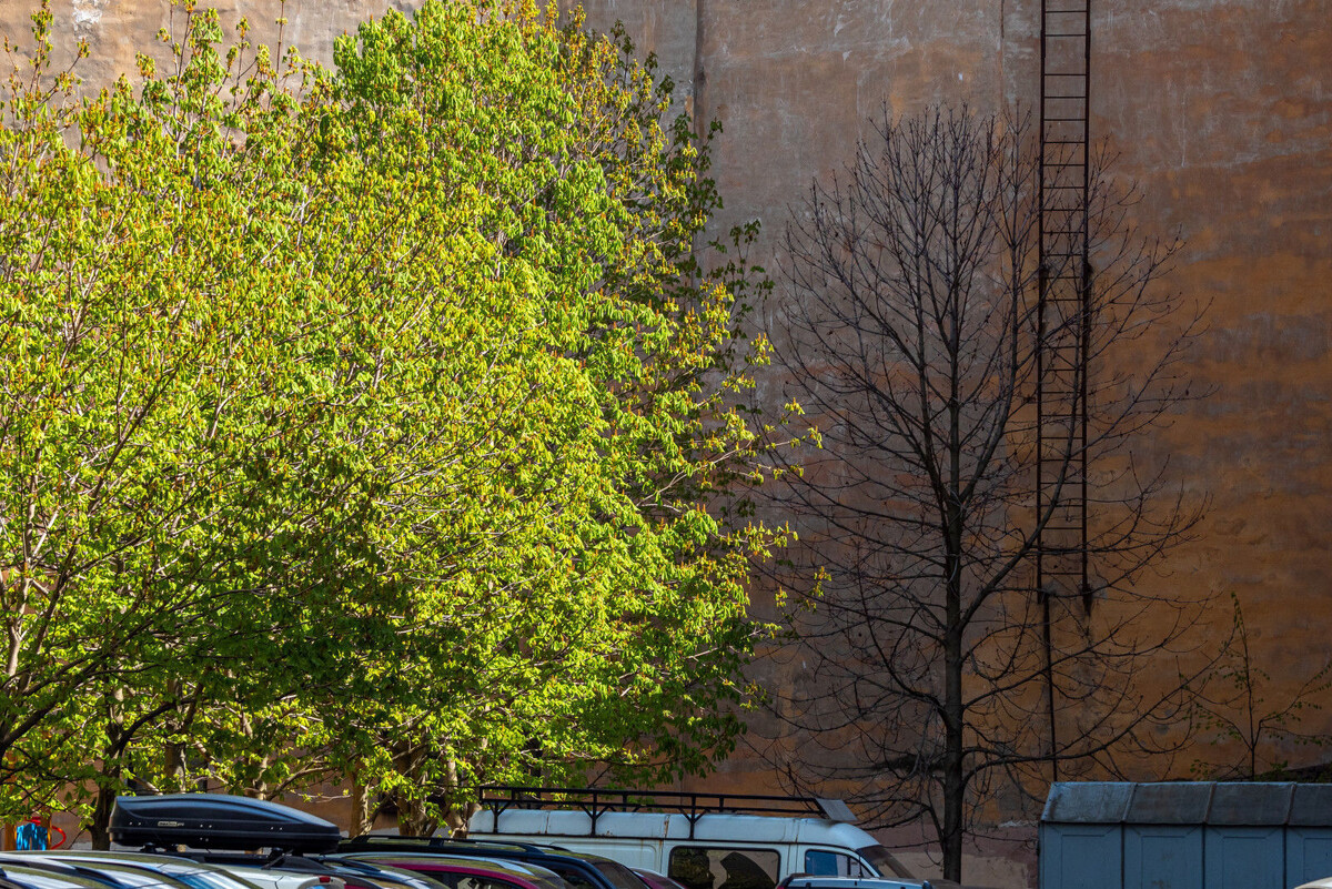 Фото: Олег Золото / «Петербургский дневник»