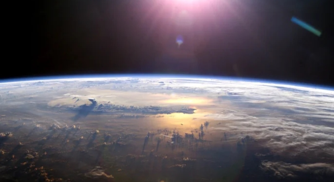 Гугл изображения. 