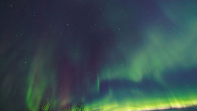    Фото: Юлия Чудинова / «Ямал-Медиа»