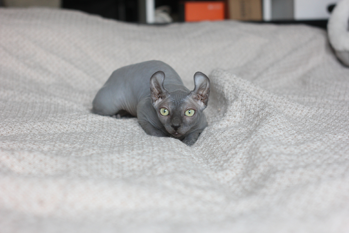 Время играть - и не важно, что ты об этом думаешь!