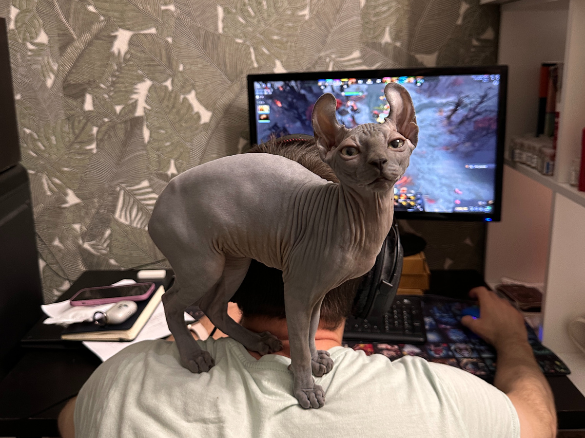 Это выглядит мимо, но оцените на 2ом фото спину после этого ->