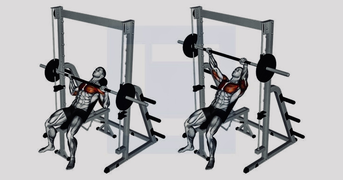 Наглядный пример выполнения жима штанги в наклоне. 