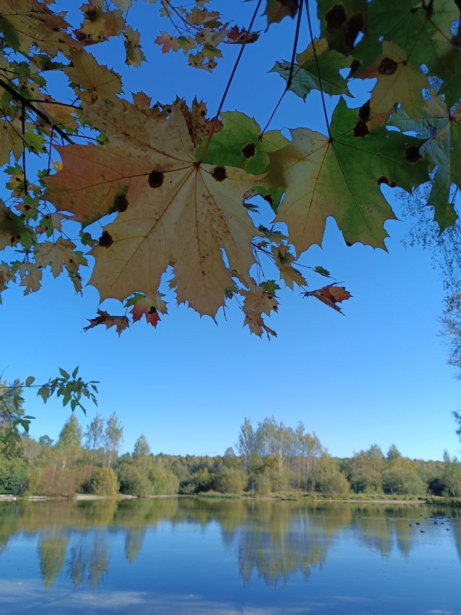 Фото автора