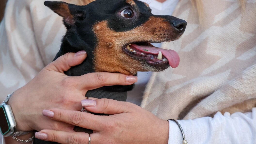    Фото: Belkin Alexey/news.ru/Globallookpress