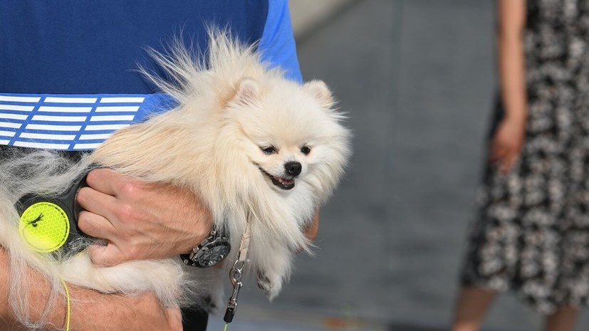   РИА Новости