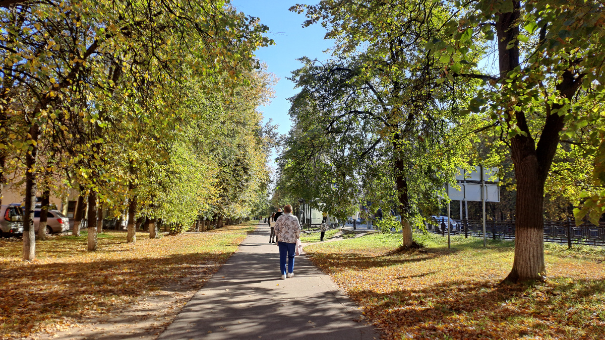 Аллея в Домодедово.