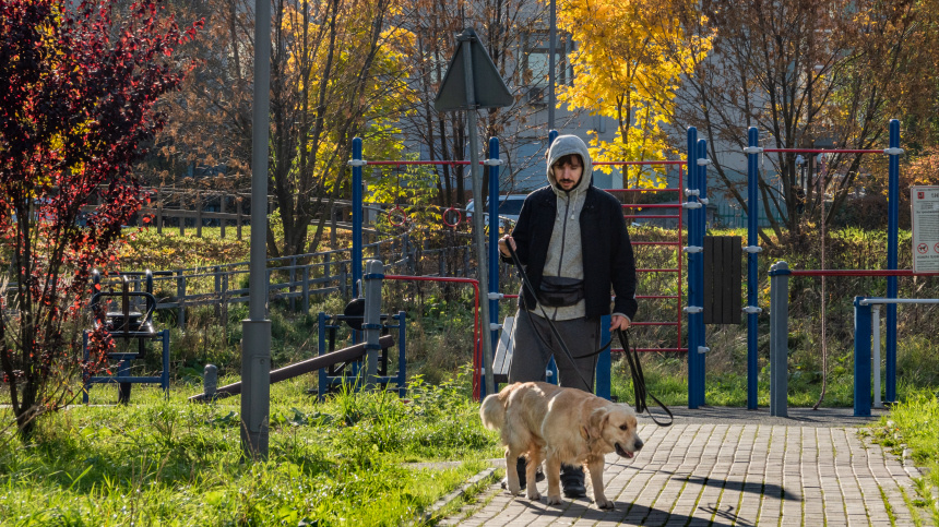    Фото: ИЗВЕСТИЯ/Константин Кокошкин