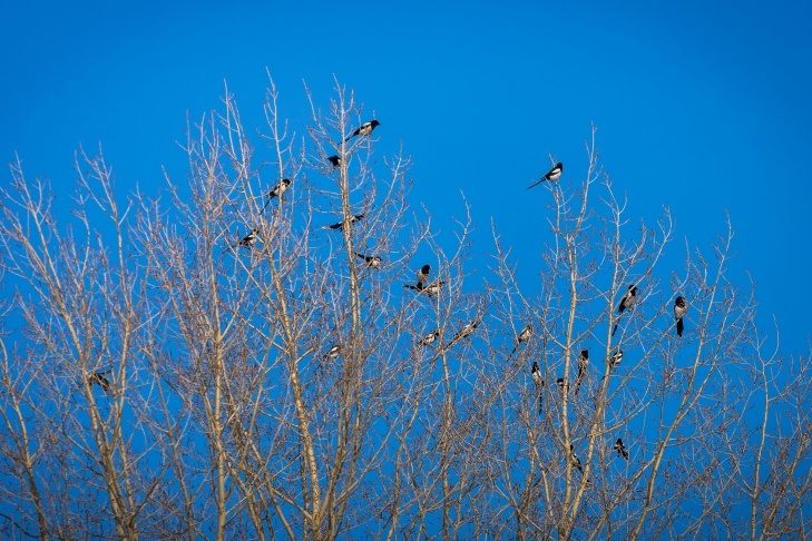    Фото Андрея Заржецкого