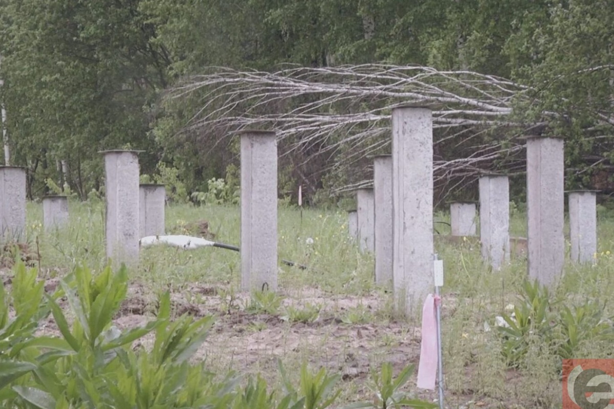    Фото носит иллюстративный характер