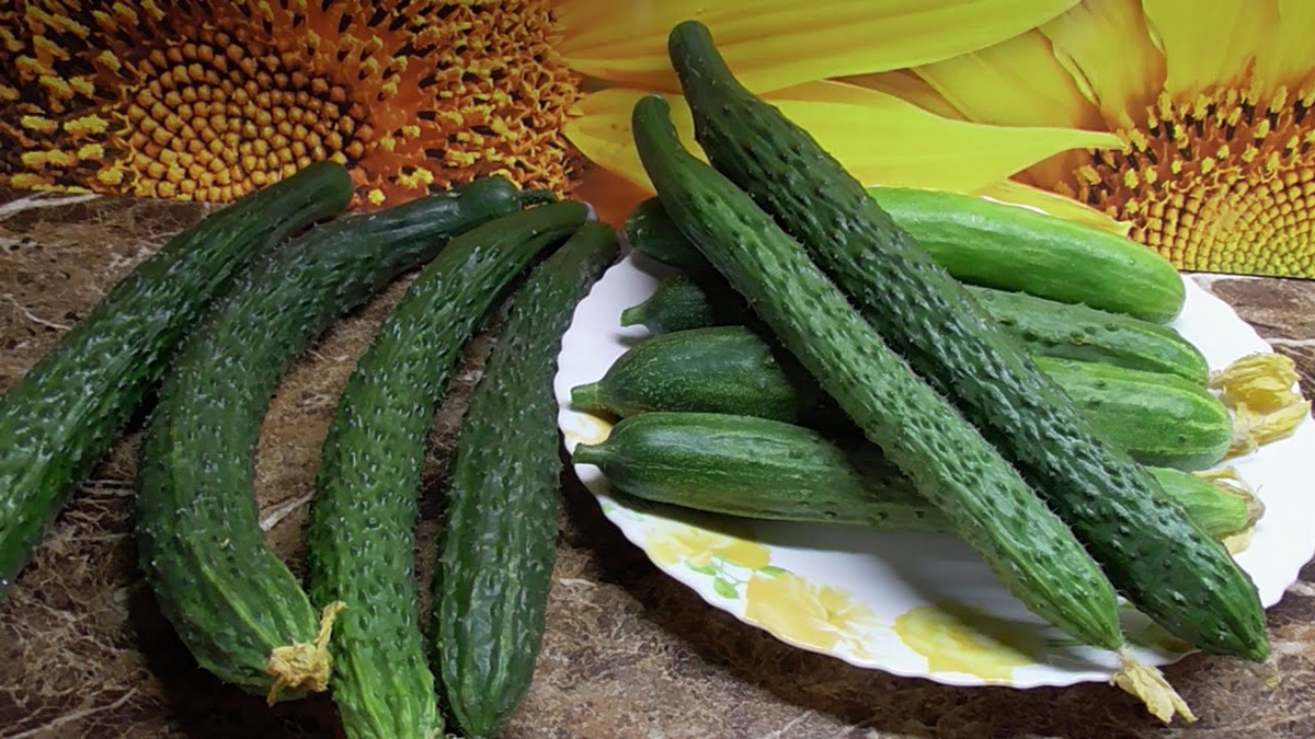 «Изумрудный поток»