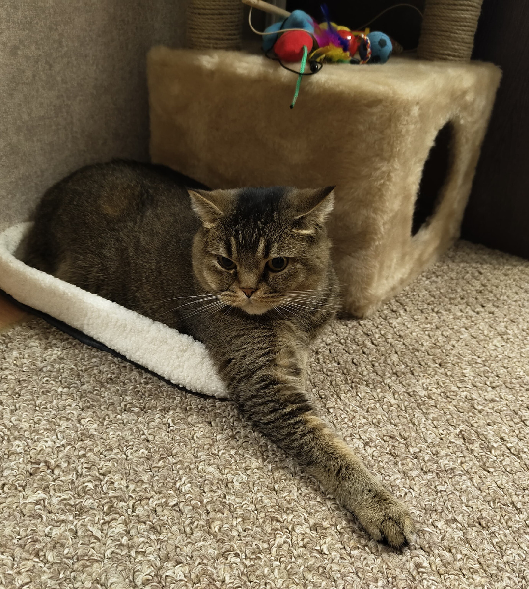 Очень хорошо!)