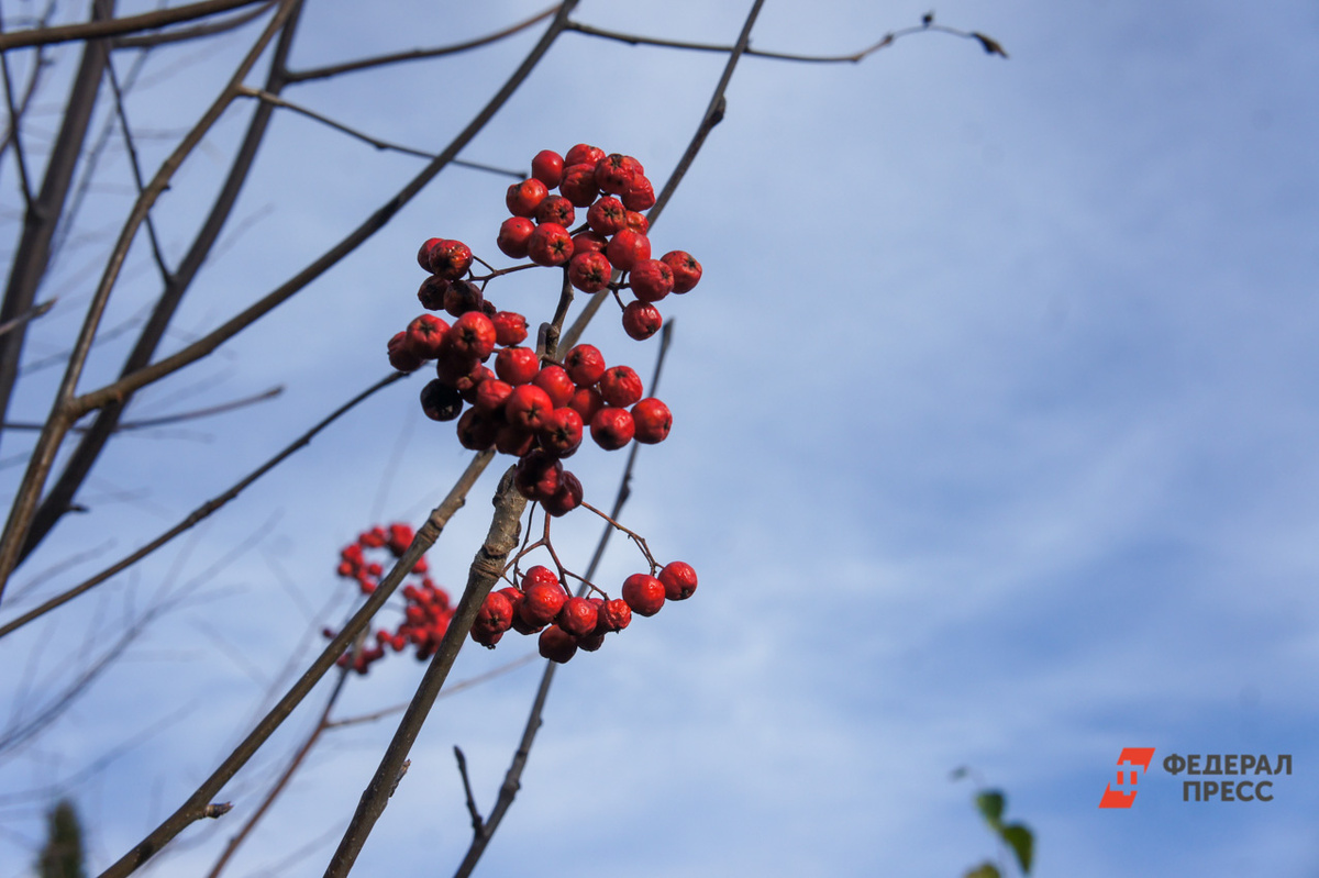 В Приморье похолодает до +10,.  Фото: Фото: ФедералПресс / Елена Майорова