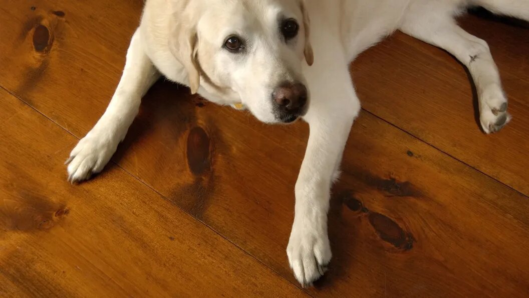    Фото: Dan Gair/Globallookpress