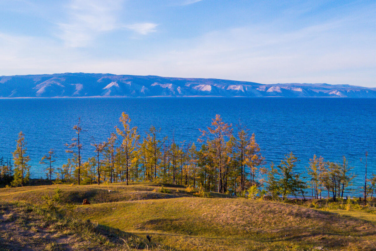     123RF/legion-media.ru