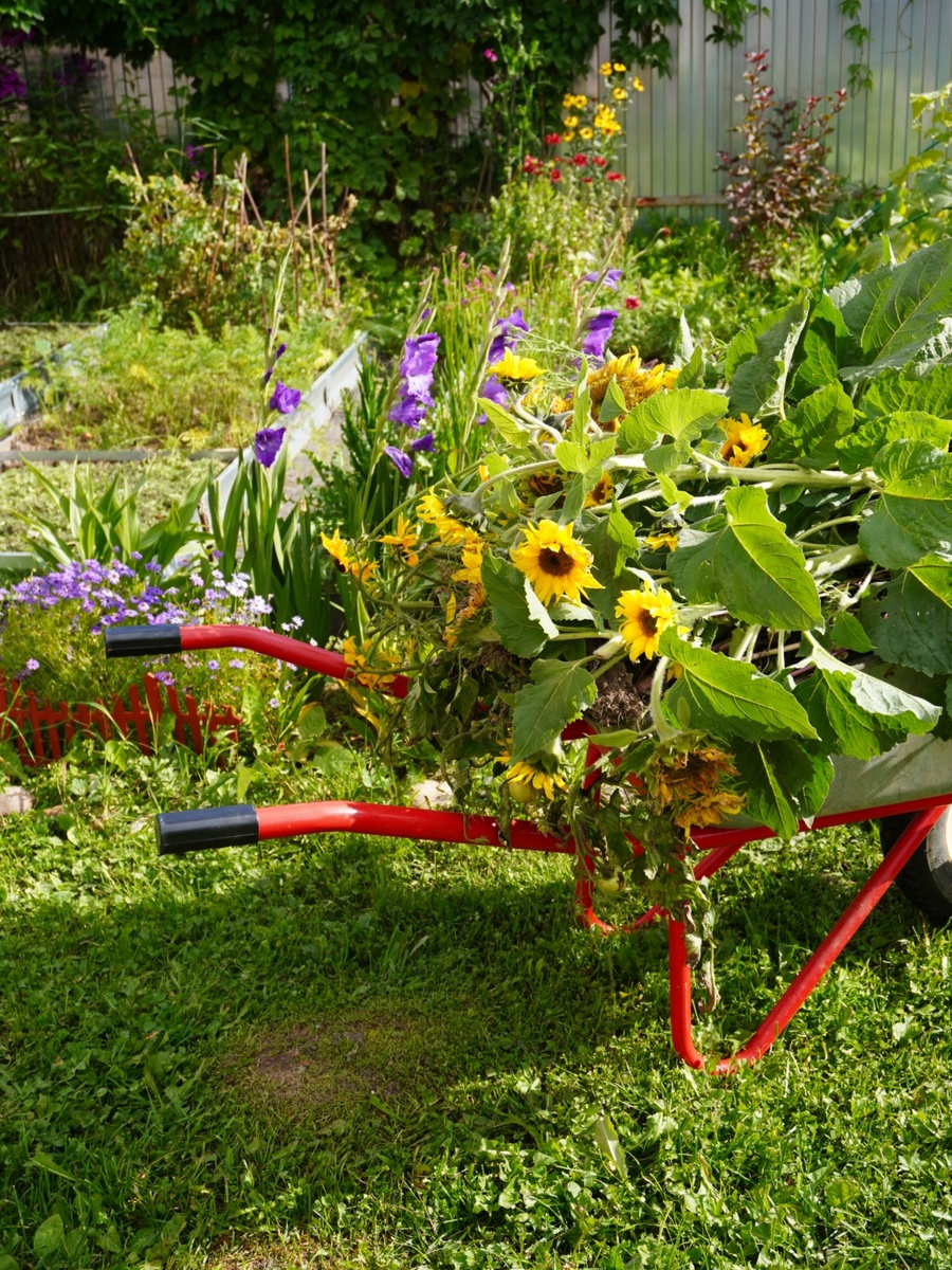 Завершаем сезон (((