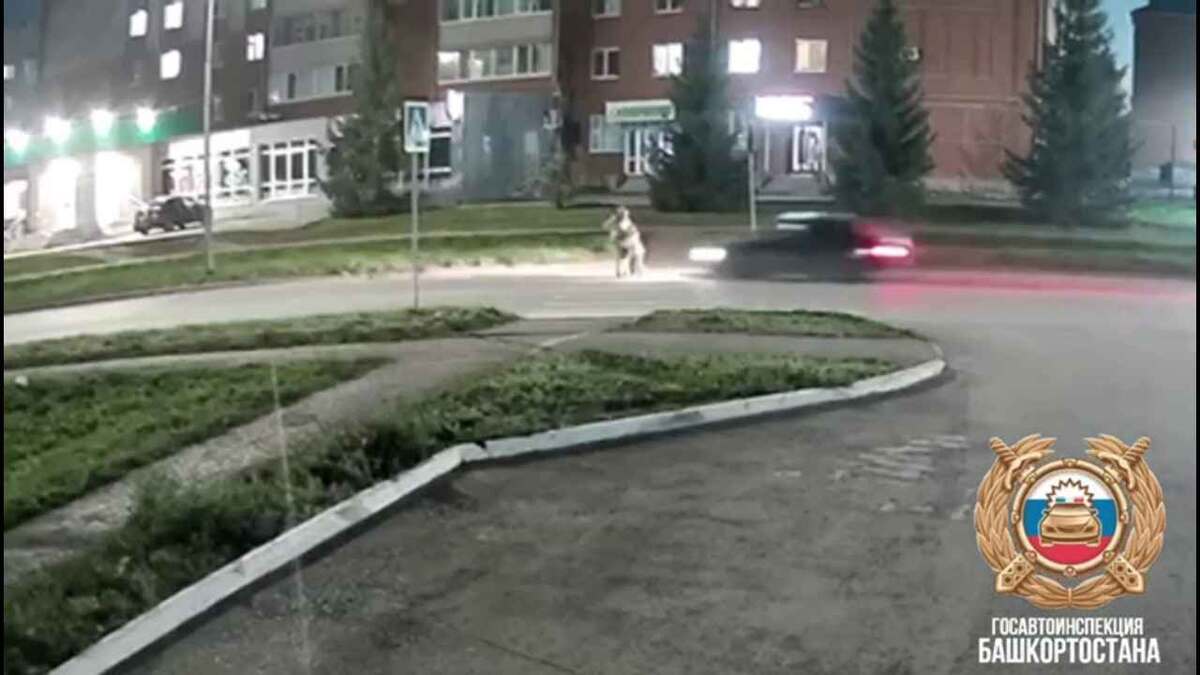    Фото: скрин видео с пресс-службы Госавтоинспекции РБ