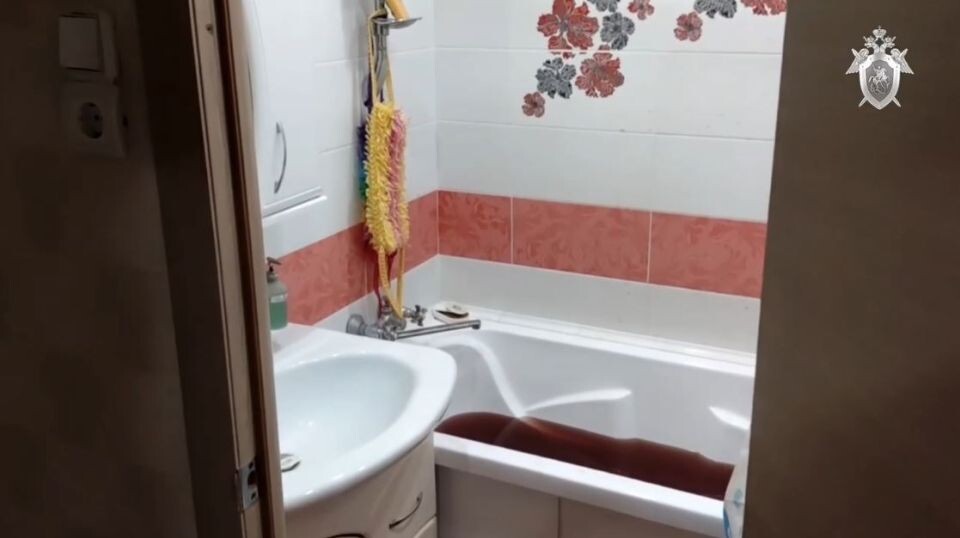    Осмотр места происшествия. Источник: СУ СКР по Ульяновской обаласти