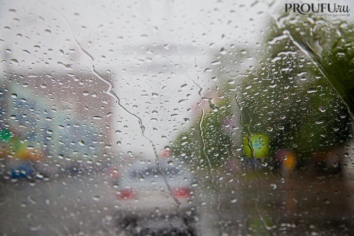    Фото: Пруфы.рф