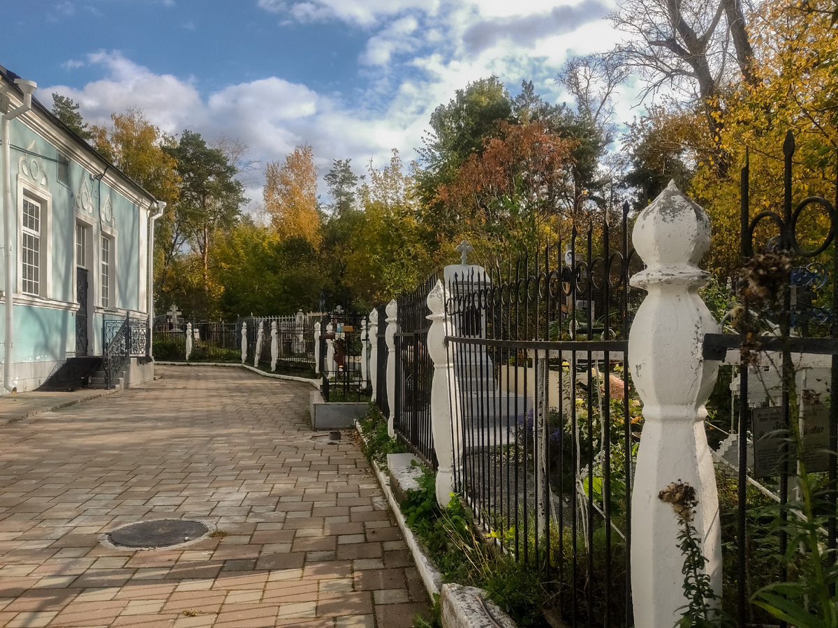 Телефонофото 2025 года