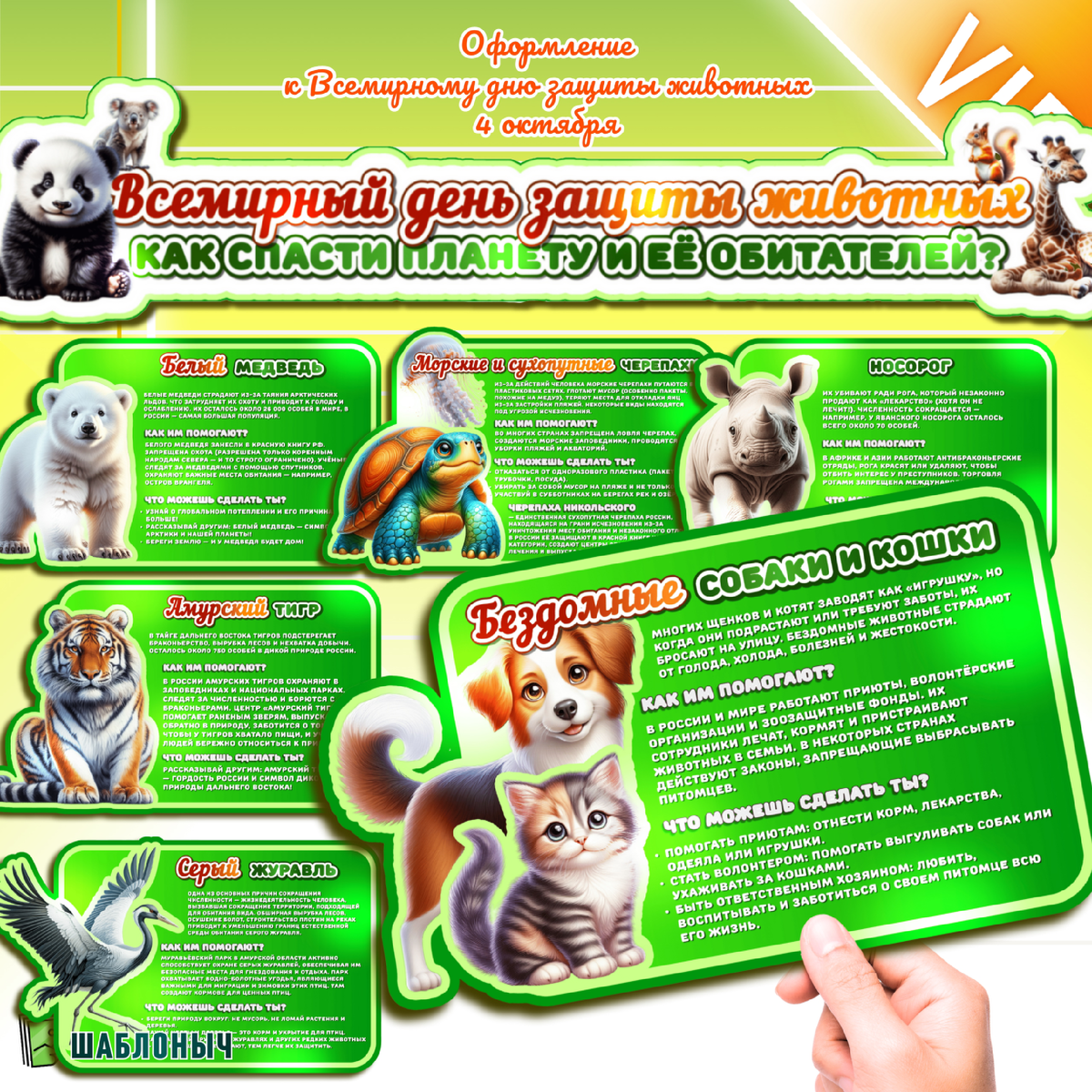 Оформление к «Всемирному дню защиты животных» 4 октября 