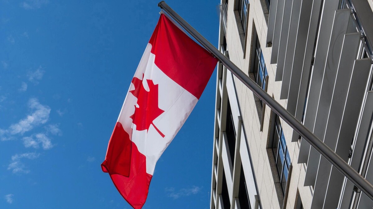    Фото: Mo Photography Berlin/Shutterstock/Fotodom