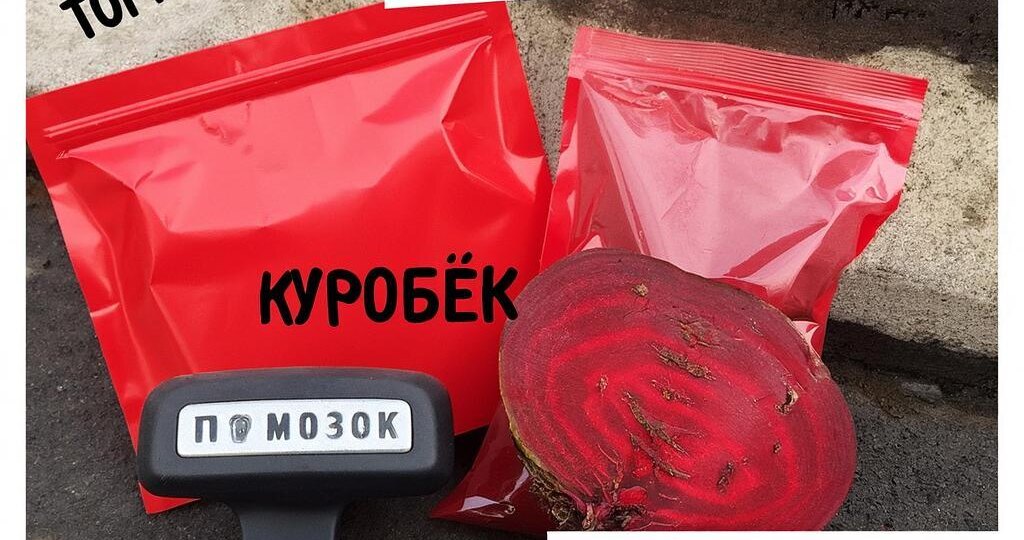 Языковая Мозаика России: Уникальные Слова Регионов