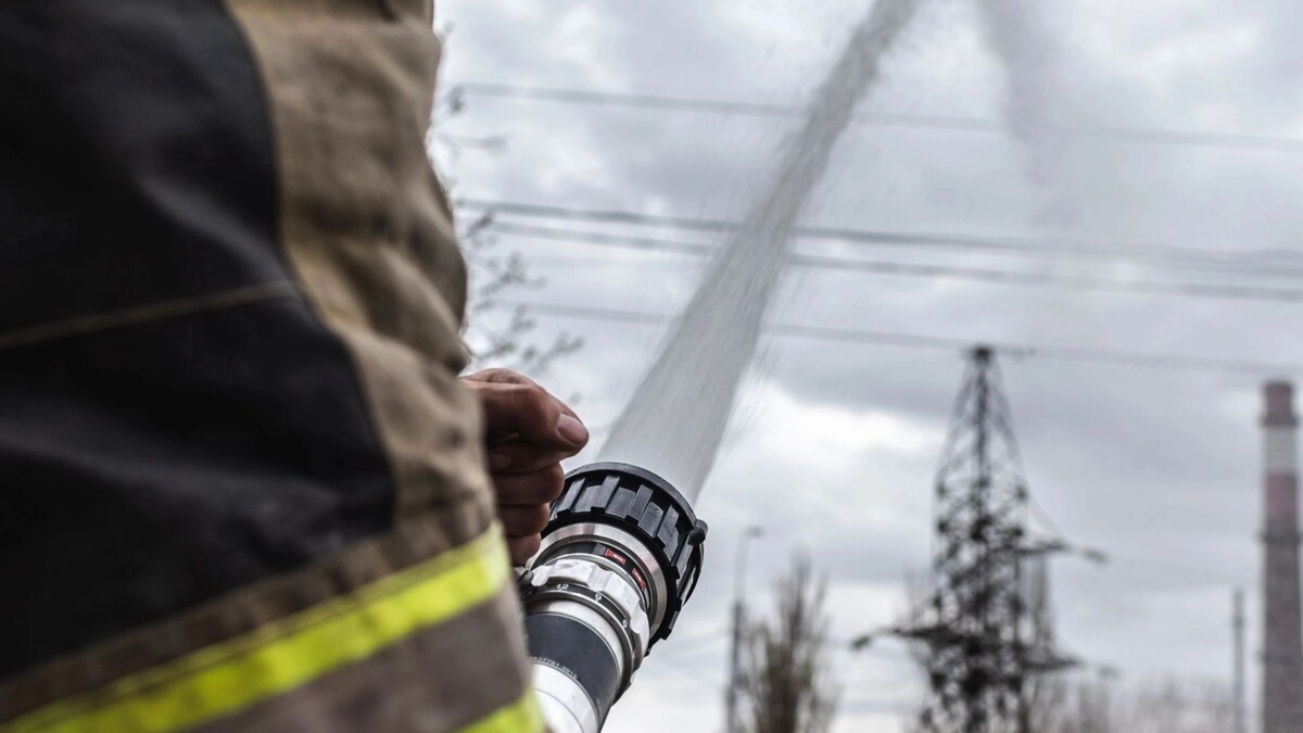    Фото: Yakovlev Mikhail/Shutterstock/Fotodom