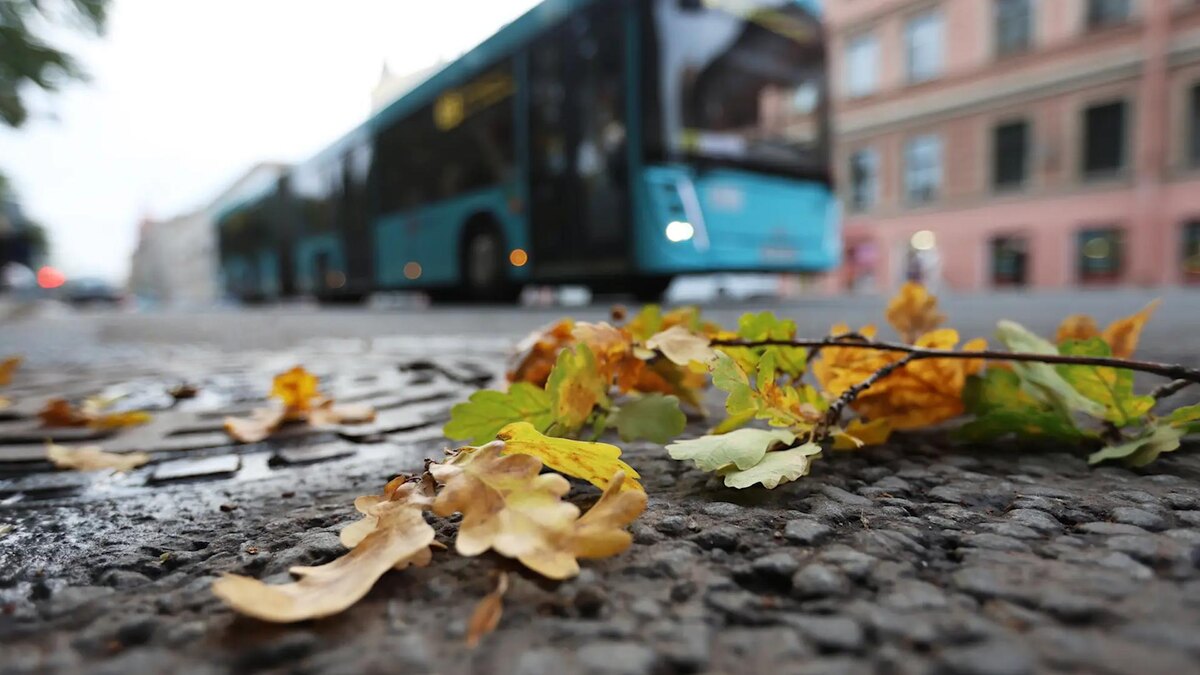    Фото: ИЗВЕСТИЯ/Евгений Павлов
