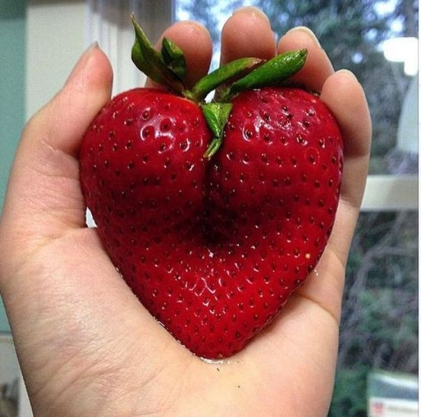 Источник фото: https://a.d-cd.net/a6a1e36s-1920.jpg