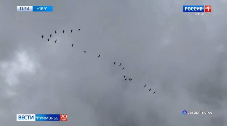    Источник фото: