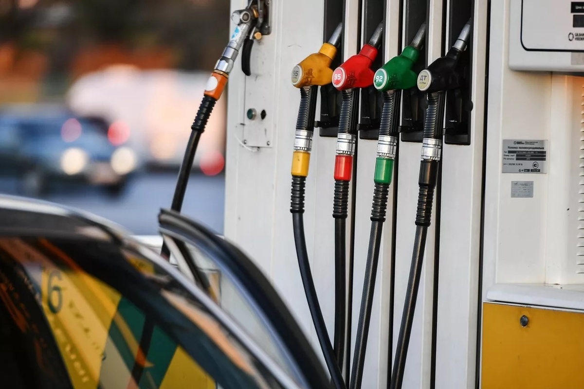    Фото: Константин Михальчевский, источник: ria.ru