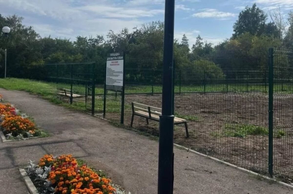    По требованию прокуратуры в городе Башкирии обустроили площадку для собак