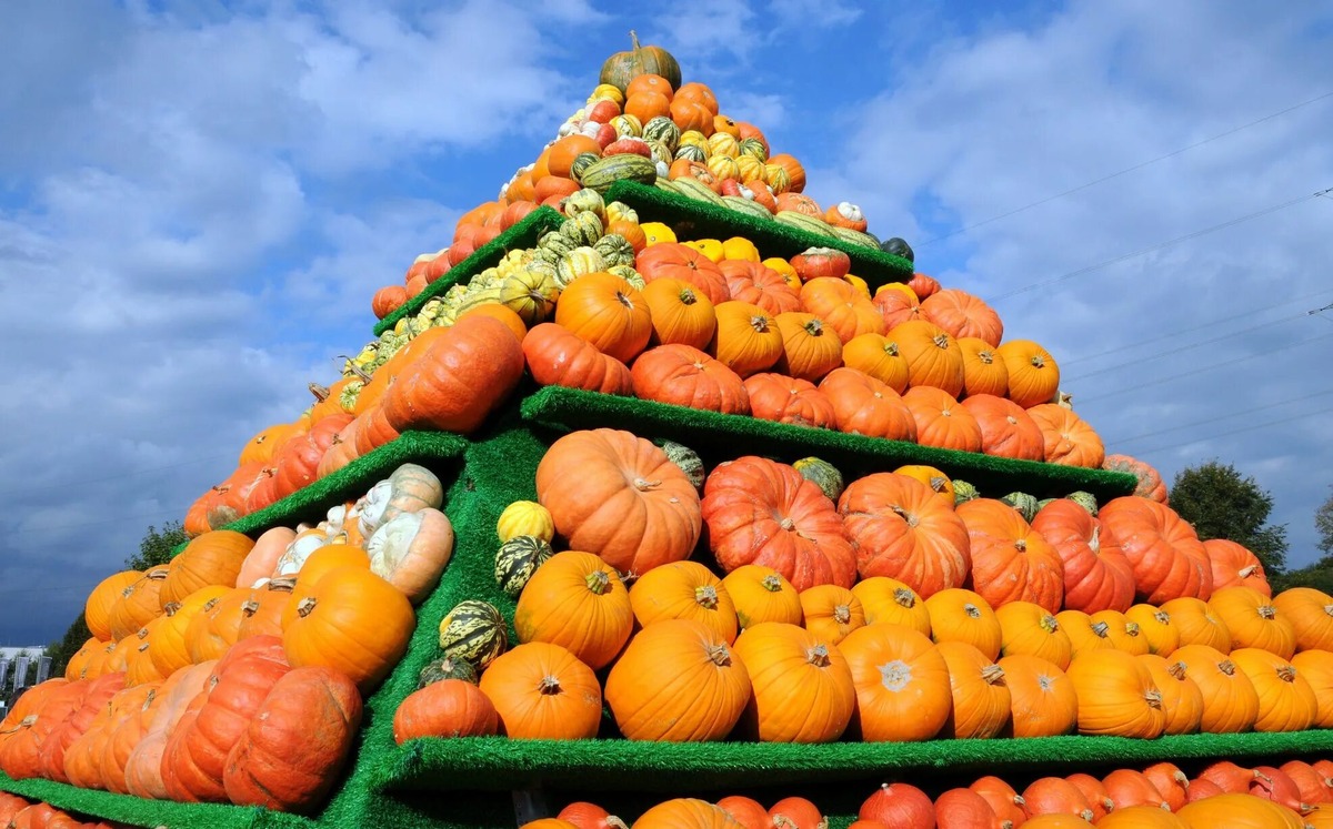 Источник фото: https://avatars.mds.yandex.net/i?id=fb25103930849425cbcd8deec1f8e84b_l-10995463-images-thumbs&n=13