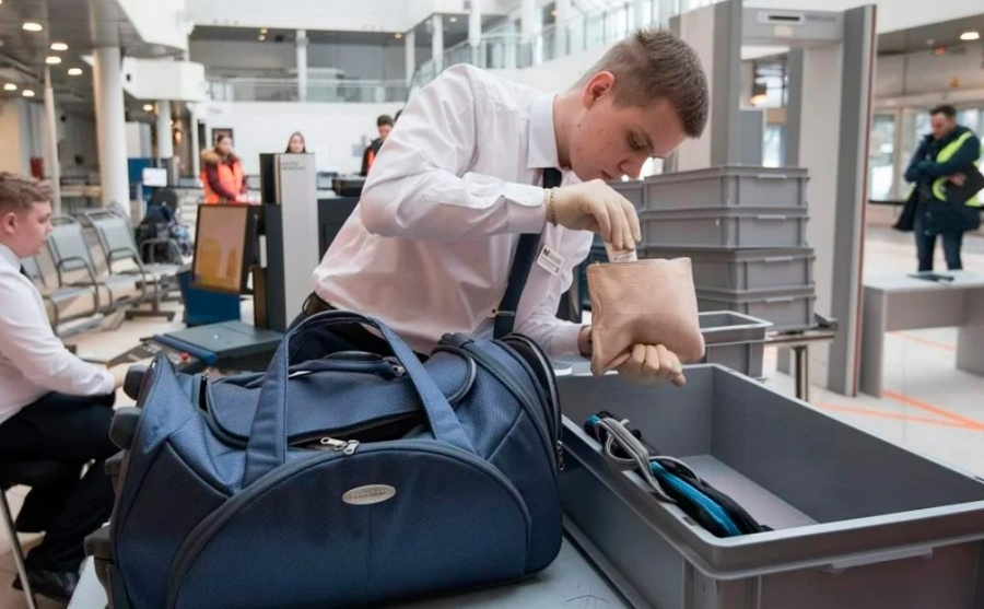     Крупная находка: что привезла в Беларусь гражданка Германии?