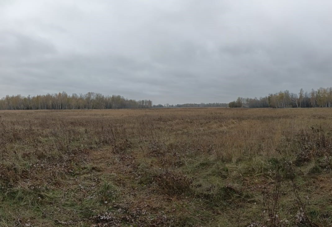    Фото: СКР НСО