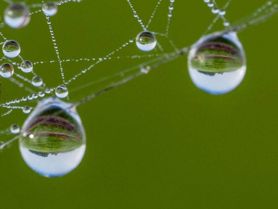    Осенние пейзажи Алтайского края необычно раскрываются сквозь капельки воды. Источник: Светлана Кулёва