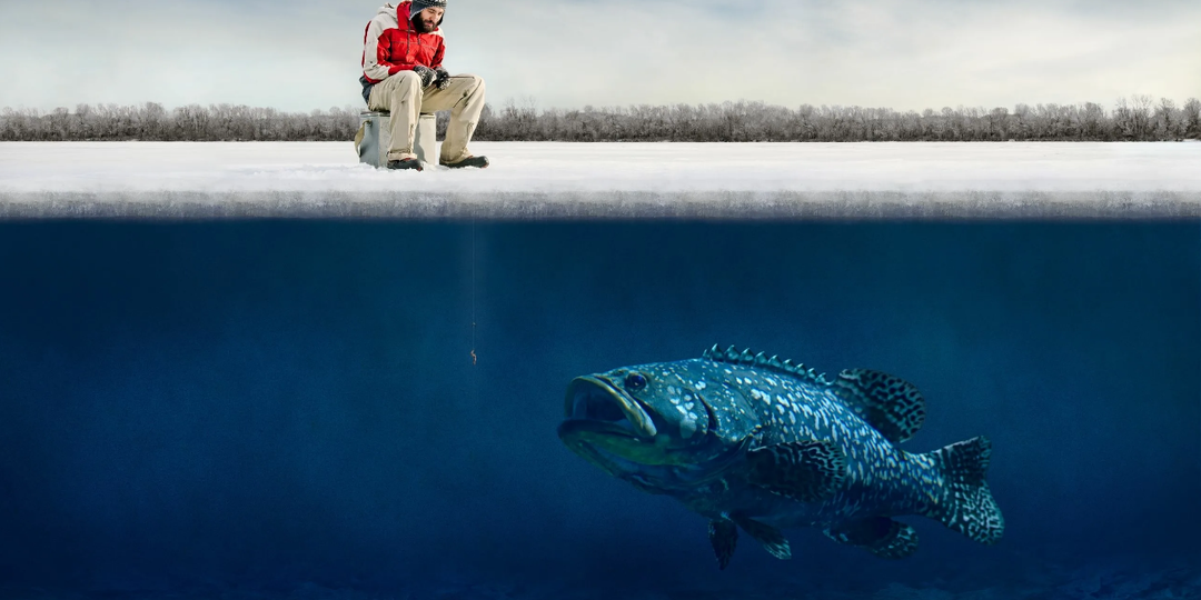 🌡️ Ловля в оттепель и в лютый мороз: Разная рыба, разная тактика.