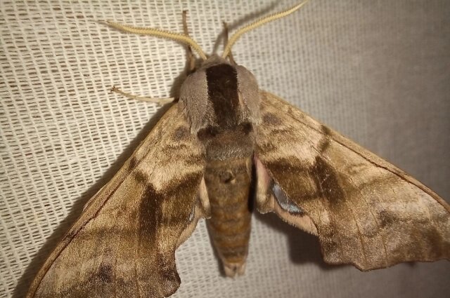    Фото: Из личного архива/ Марина Привалова