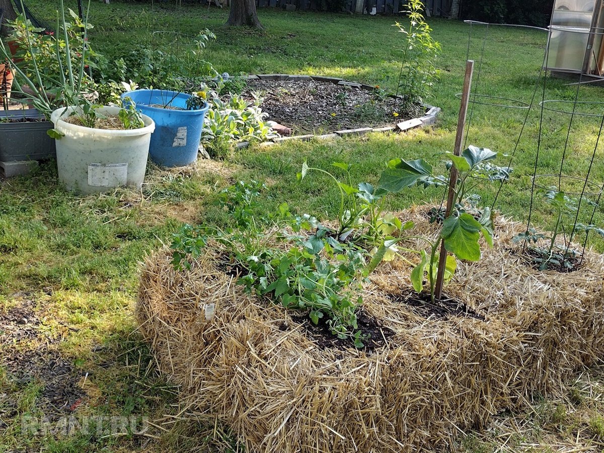 Фото housedigest.com