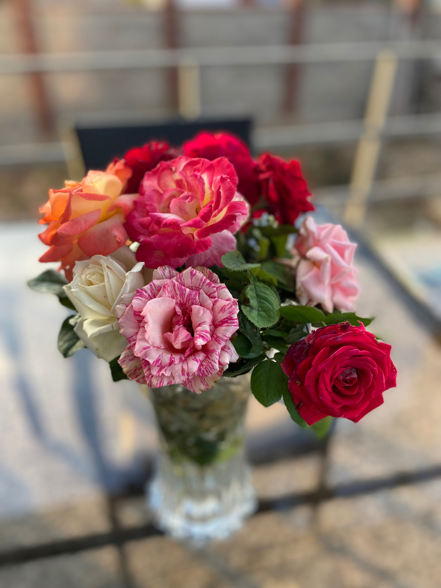 Фото из личного архива автора: букет свежесрезанных роз