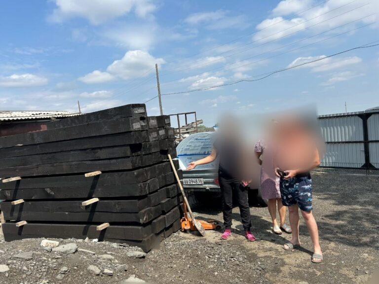    В Новотроицке задержали чиновника за кражу шпал Мария Чалкина