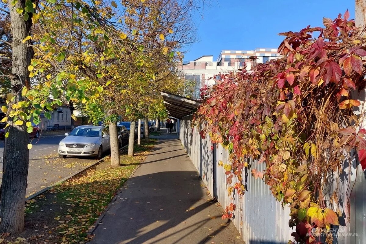    В Краснодарском крае спрогнозировали солнечную погоду без дождей