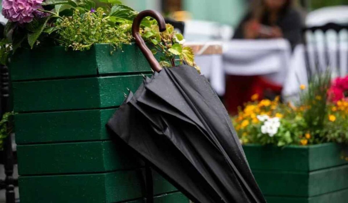     Зонт. Источник: spb.kp.ru Автор фото: Юлия Пыхалова