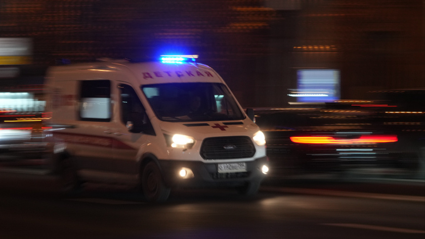    Фото: ИЗВЕСТИЯ/Дмитрий Коротаев; 5-tv.ru