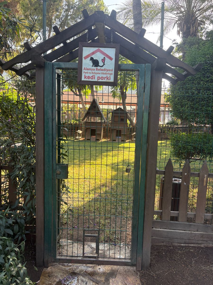 Фото из личного архива 