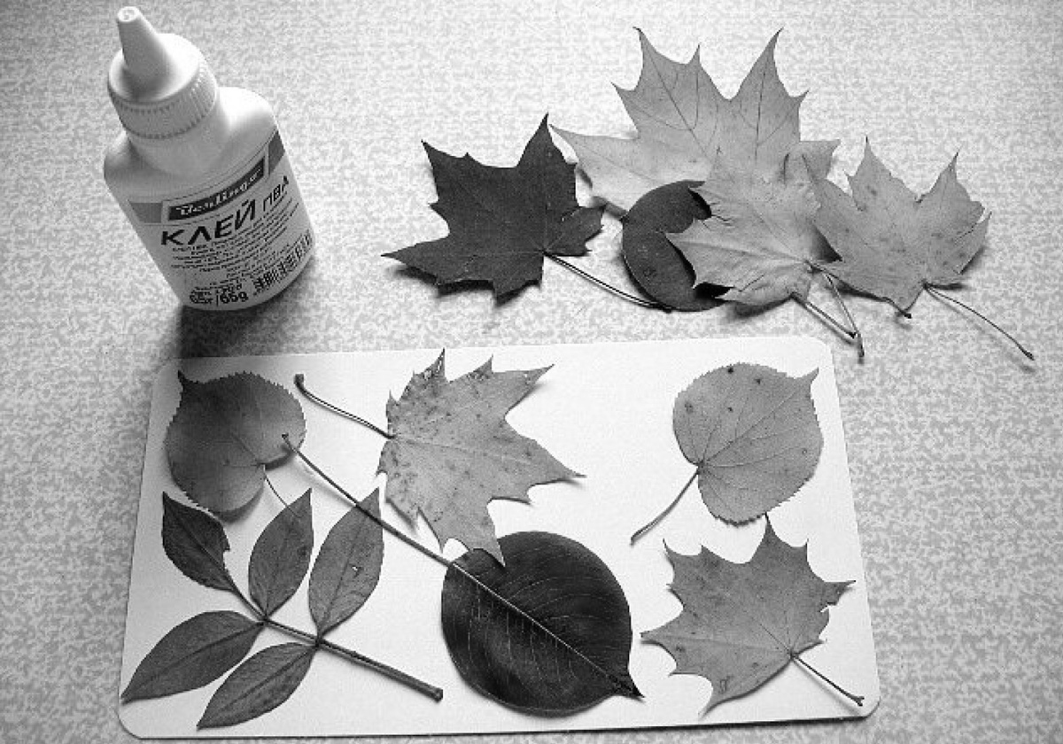 Взято с ресурса master-klass.livejournal.com