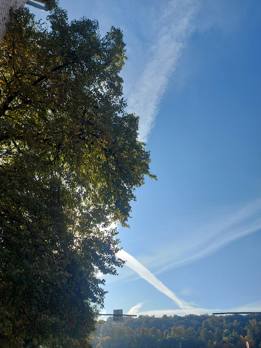 Небо у меня над головой сегодня такое ))